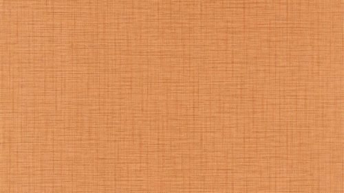 Lint 112098